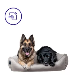 Leicht zu reinigende Hundebetten