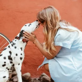 Für Hundebesitzer