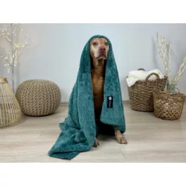 Hundedecken, Teppiche, Kissen