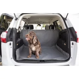 Reisen mit dem Hund