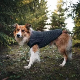 Hundemantel