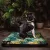 NRDOGS Hundebetten