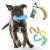 Hundespiele