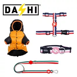 Dashi