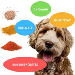 Immunstärker, Vitamine für Hunde