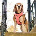 Dashi Stripes Pink&Black Doppelseitiges Geschirre