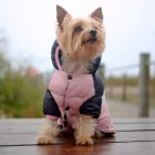 Dashi Stripes Pink&Schwarz Hundemantel L (36 cm Rückenlänge)