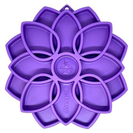 Anti-Schaum-Napf für Hunde - SodaPup Purple