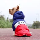Dashi Stripes Rot&Blau Hundemantel