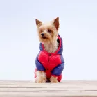 Dashi Stripes Rot&Blau Hundemantel