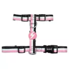 Dashi Stripes Rosa&Schwarz H-Geschirre