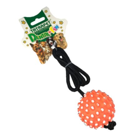 Seilspiel mit Ball - Hundespiel