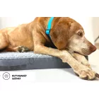 GOMEZ Wasserdichtes Hundebett Grau