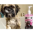 Bugalugs Baby Fresh Hundeshampoo 