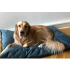 BEZÜGE für Soft Magic Ocean Basic Hundebett