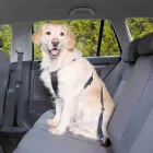 Trixie Auto Sicherheitsgeschirr für Hunde + Leine M 50-70cm