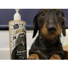 Bugalugs 1 In A Million Hundeshampoo