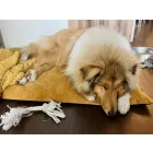 BEZÜGE für Soft Magic Okker Basic Hundebett