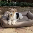NRDOGS Basket Hundebett Sawana Braun