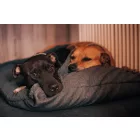 BEZÜGE für Hundekuschelbett Zuma Beige L (90x56cm)