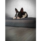 Premium Hundebett Soft Magic Grey
