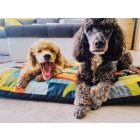 NRDOGS Basic Hundebett Abba Color