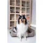 BEZÜGE für Soft Magic Beige Basket Hundebett S