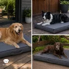 GOMEZ Wasserdichtes Hundebett Zuma Grau