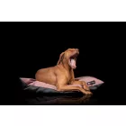 BEZÜGE für Soft Magic Beige Basic Hundebett 