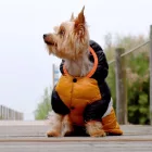 Dashi Stripes Orange&Schwarz Hundemantel 2XL (48 cm Rückenlänge)