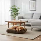 NRDOGS Comfort Hundebett Soft Magic Beige