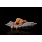BEZÜGE für Soft Magic Grey Basic Hundebett