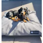 BEZÜGE für Soft Magic Grey Basic Hundebett